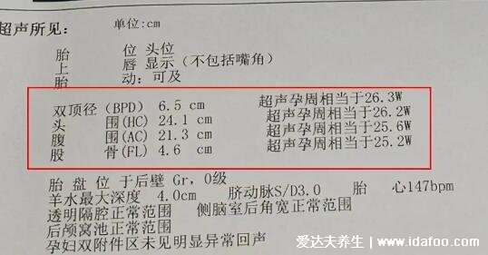 雙頂徑是什么意思，可看孕周/胎兒發(fā)育情況/體重(有圖表公式)