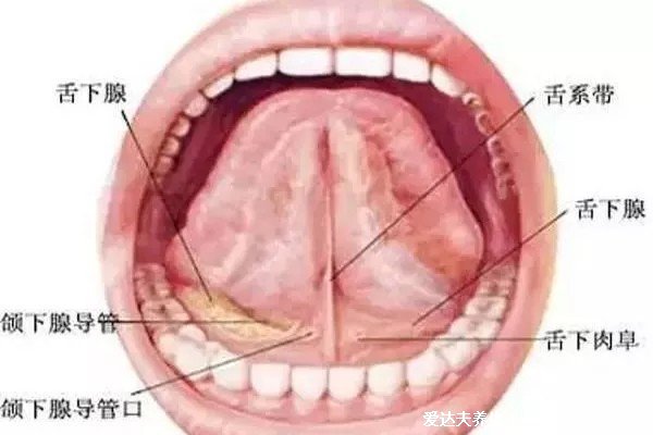 疣是什么樣子圖片，常見6種類型疣體(尋常疣/扁平疣/尖銳濕疣)