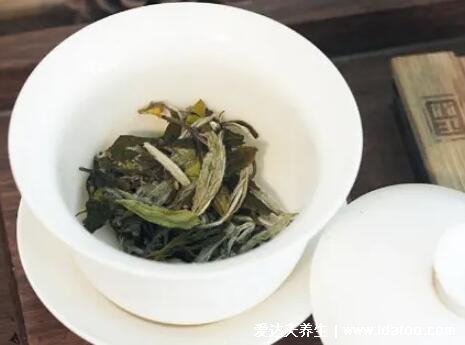 夏天喝什么茶比較好對身體，宜綠茶/菊花茶/蓮子茶等6類茶