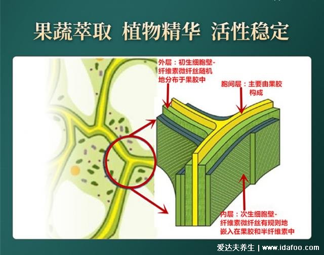 常青通超微化果蔬膳食纖維中國(guó)發(fā)明專(zhuān)利