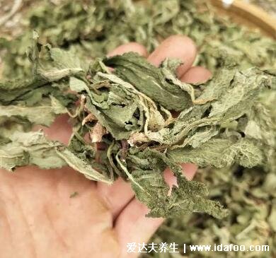 蛤蟆草泡水喝的功效與作用，外用治濕疹/內(nèi)服防感冒祛風(fēng)濕(圖片)