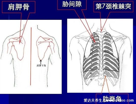 腎結(jié)石會引起身體哪個部位疼痛圖片，腹痛/腰痛(腎疼腰疼區(qū)別圖)