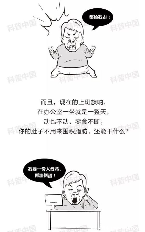 喝啤酒喝出來(lái)的“啤酒肚”？