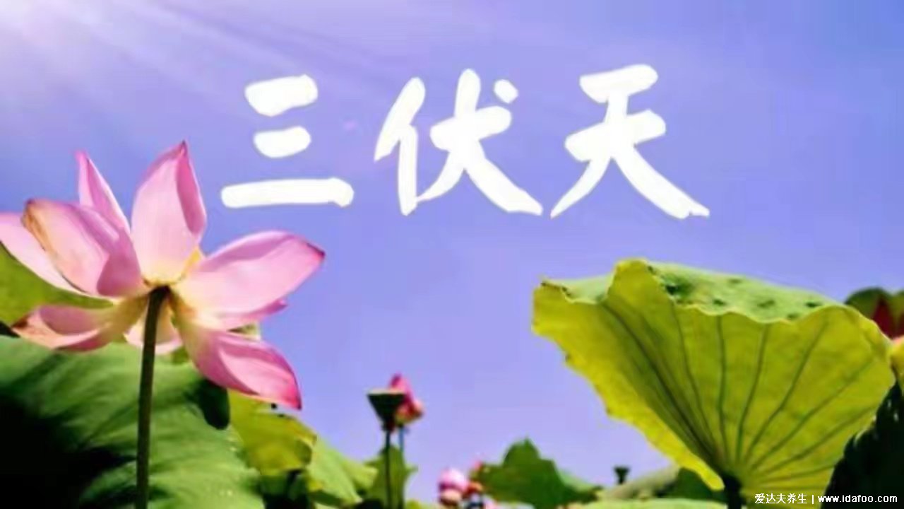 “二伏”應(yīng)該吃什么？二伏養(yǎng)生有講究