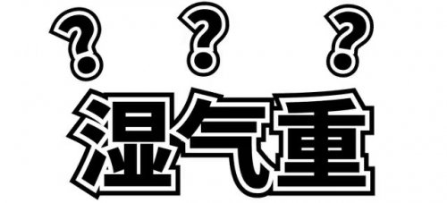 濕氣最怕這除濕花和祛濕粥