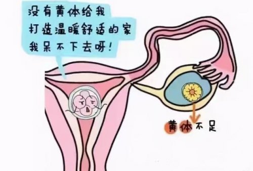 黃體酮不足的女性身體有哪些表現(xiàn)