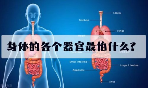 各科醫(yī)生來(lái)告訴我們?nèi)梭w的各器官最怕什么