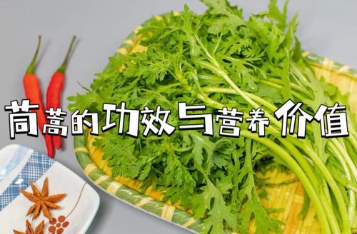 茼蒿止咳化痰改善脾胃該怎么吃最養(yǎng)生