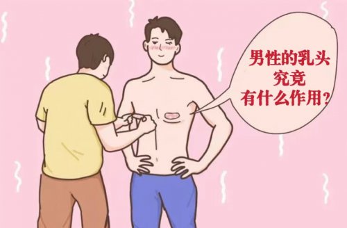 男性為什么會長乳頭它有什么作用呢