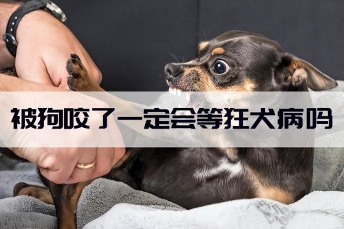 狂犬病的潛伏期多久被狗咬了一定會得狂犬病嗎