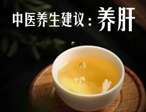  肝臟不好會影響免疫力該如何養(yǎng)護肝臟